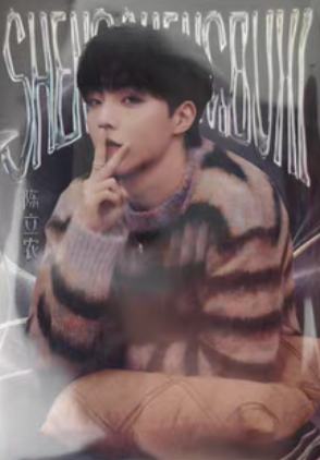 声生不息珍藏卡 ver.D