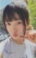 wvs预售2