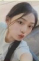 wvs预售4