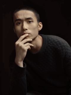 苏振维