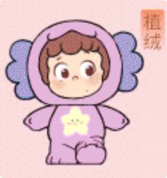 雏菊龙