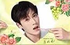 格力高代言卡 ver.11