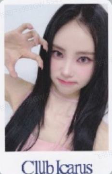 el预售 锁