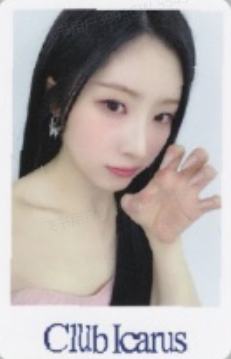 el预售 涩