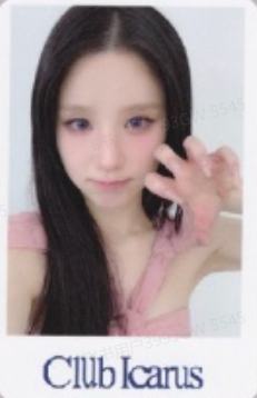 el预售 田