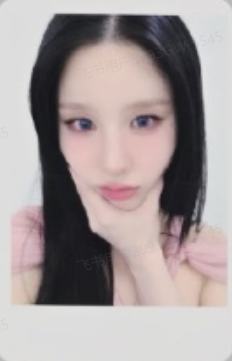 ms预售 田