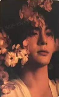时装杂志隐藏卡 ver.E