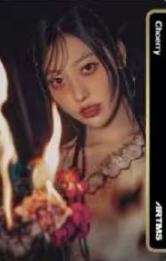 电子卡 梨 ver.A