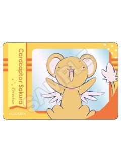 小可-城市流行透卡