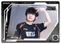 EDG.ASSUM