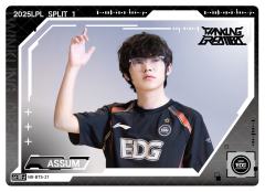 EDG.ASSUM
