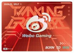 WBG