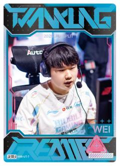 BLG.WEI