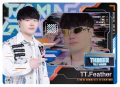 TT.FEATHER