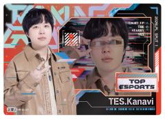 TES.KANAVI