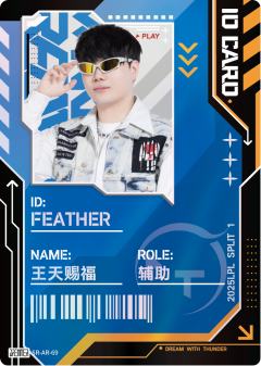 TT.FEATHER