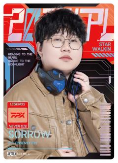 FPX.SORROW