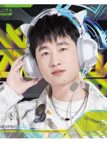 NIP.PPGOD
