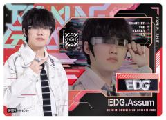 EDG.ASSUM
