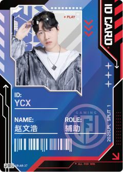 LGD.YCX