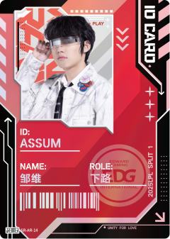 EDG.ASSUM