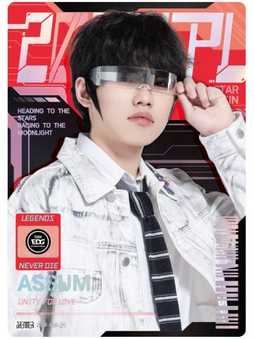 EDG.ASSUM