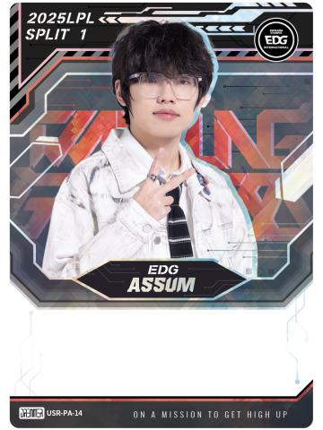 EDG.ASSUM