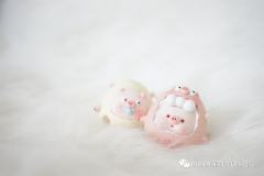 肉肉小龙蛋-资料图