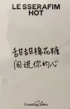 数星星4.0上海合影会 叶-资料图