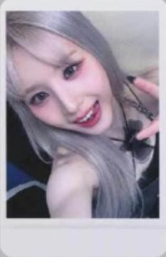 am线上签售3.0 田