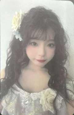 包楹 25元旦纪念小卡 ver.A