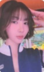 k4快闪幸运卡 狗 ver.B