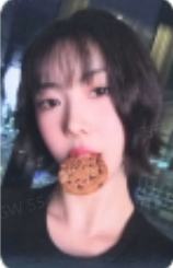 sw签售1.0狗 ver.B