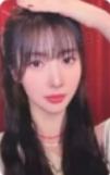 ms预售 狗 ver.A