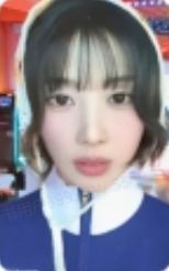 官咖 狗 ver.A