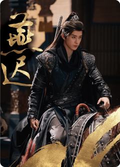 暗影藏锋10