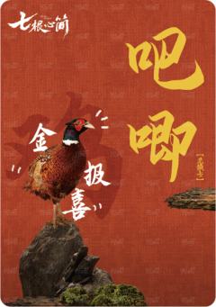 角色吧唧兑换卡