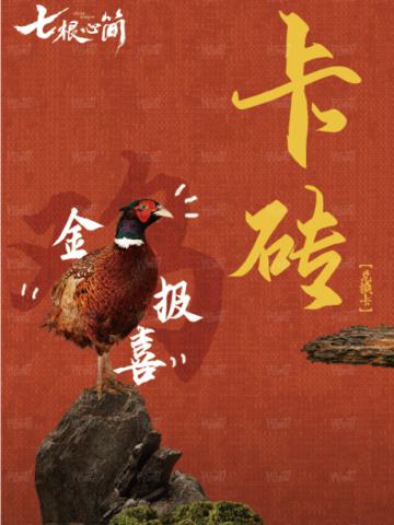 磁吸卡砖兑换卡