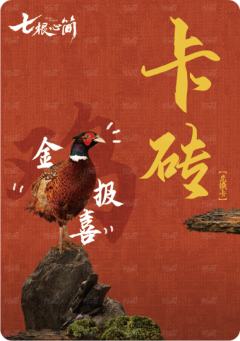 磁吸卡砖兑换卡