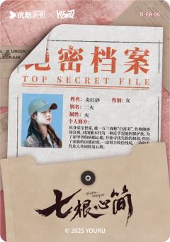 灵简秘档6-资料图