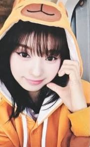 jp5.0线下 贤珠