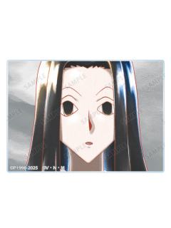 伊尔迷·揍敌客-Ani-Art aqua label第2弹 亚克力卡