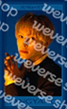 随机卡 羊 官拍ver.B