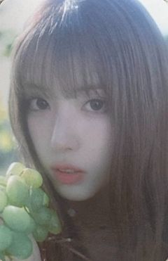 场周随机卡6 ver.C