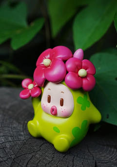 肉肉丸—长寿花