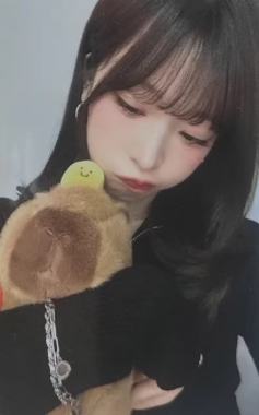 ms7.0菜 卡皮巴拉ver.