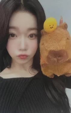 ms7.0月 卡皮巴拉ver.