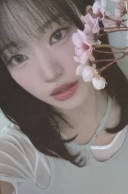 ny7.0玧 线上樱花ver.