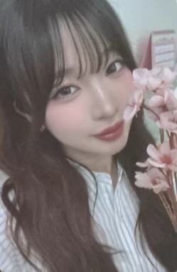 ny7.0菜 线上樱花ver.