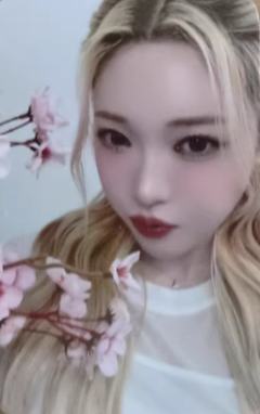 ny7.0蓝 线上樱花ver.